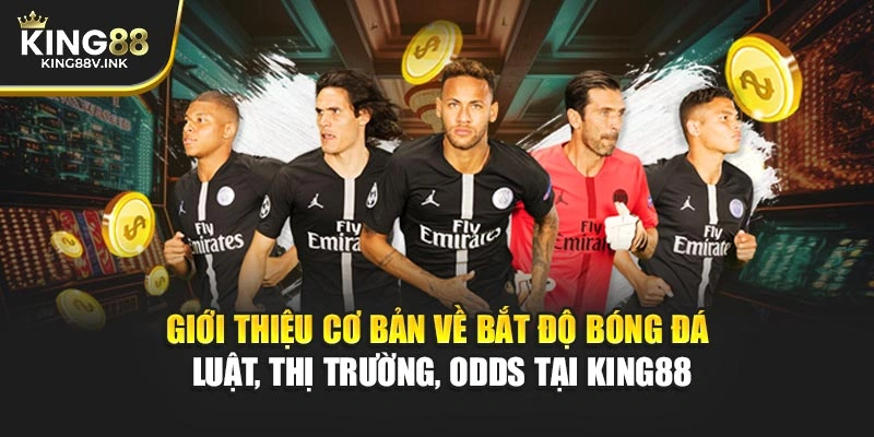 Giới thiệu cơ bản về bắt độ bóng đá – Luật, thị trường, odds tại KING88